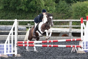 Class 5 - Fences not above 2'6